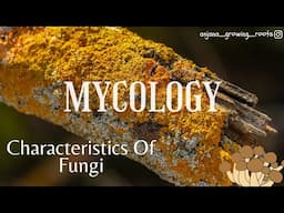 Mycology | Characteristics Of Fungus | Malayalam | BSc | MSc | NEET