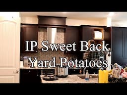 Instant Pot Pressure Cooker Backyard Sweet Potatoes