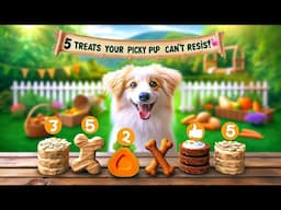 5 Treats Your Picky Pup Can't Resist! 🐶🍌