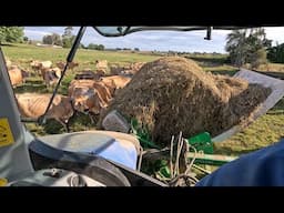 It's Starting To Get Really Dry! No Safety Fences Now....But I'm Having Trouble Shifting My Cows