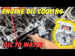 Engine Oil HEAT Rejection! Not a DIY Job! Oil Cooler Installation