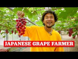 What Growing Premium Grapes in Japan is Like