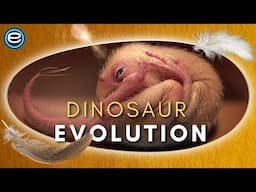 Dinosaur Evolution - Eggs Nest and Babies