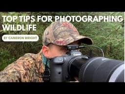 Top Tips for Photographing Wildlife