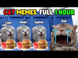 CAT MEMES FAMILY ROADTRIP COMPILATION 1 HOUR