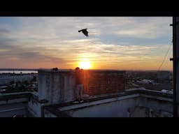 Rooftopping in Bucharest l Urbex Romania