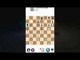 CHESS 50