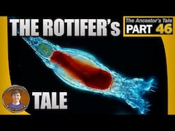 The Rotifer's Tale