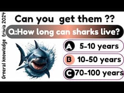 All about  shark | General knowledge trivia Quiz | Can you get them?