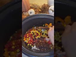 Crockpot Nacho Soup Episode 1