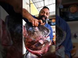 20 കിലോ മീൻ തലക്കറി | 20 kg fish head curry from Kadavu Toddy Shop near Pala #shots