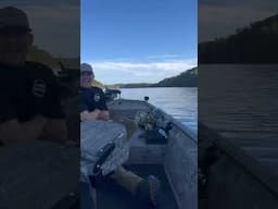 Hunting public from the boat