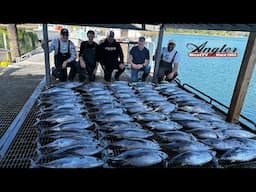 Winter Harbour Tuna Fishing