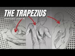 Anatomy for Figure Drawing: The Trapezius