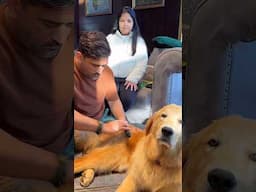 Ms Dhoni Heartwinning Gesture For his Dog With Ziva 🥰😍♥️ #Msdhoni #cricket #Viralshorts