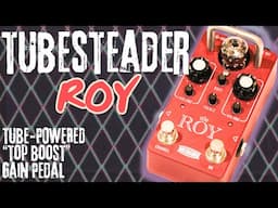 Tubesteader ROY: Tube-Powered "Top Boost" Gain Pedal  [Front Of Amp Demo]