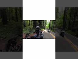 Insta360 X4 Goals - Motovlogger