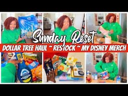 SUNDAY RESET | DOLLAR TREE HAUL | DISNEY MERCH THAT MADE IT HOME