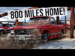 ABANDONED Chevy S10 Revived in Junkyard | Will It RUN AND DRIVE 800 Miles Home? | RESTORED