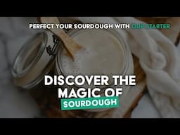 Master Sourdough Baking with Our Premium Starter Culture