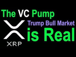 XRP VC Pump, Ripple CEO Trump Bull Market, USDT USDC RLSUD Steady, XDC Bullish, Deaton On Point