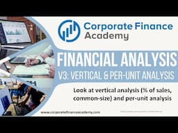 Vertical Analysis of Income Statement in Excel + Per Unit Analysis