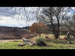 City Boy Finds Peace In The Country. A Landscape Meditation At Bedlam Farm.