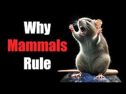 Why Mammals Rule the World