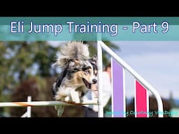 Jump Training Sessions 52-59, Part 9 - Agility Dog Training - Combating Bar Knocking Problems