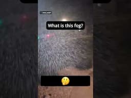 Is this fog normal? #unexplained #mysteryfog