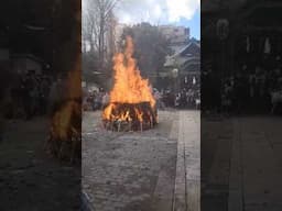 Japanese New Years Bonfire Festival - Tondo Yaki at Torigoe Shrine #shorts