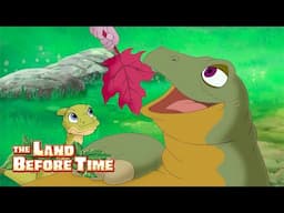 Yummy tree stars! 🌟 | 1 Hour of Full Episodes | The Land Before Time