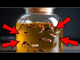 Say Goodbye to Flies Forever with This 2-Minute Vinegar Trap!