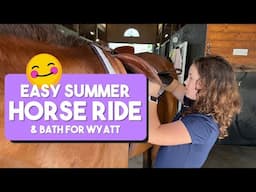 Beginner horse lessons | Day at the barn