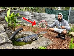 FEEDING My ALLIGATOR Giant BIRDS!?