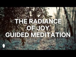 Embracing the Radiance of Joy | Guided Christian Meditation