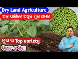 Dryland Agriculture ଅଳ୍ପ ପାଣିରେ ମୁଗ ରୁ ଅଧିକ ଅମଳ ଏକର ପ୍ରତି 3-4 qtl