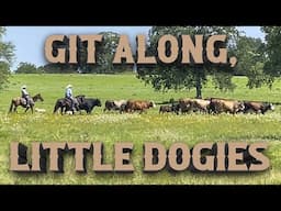 RAISING BEEF CATTLE FOR BEGINNERS – Cattle Round Up & Auction Hauling!