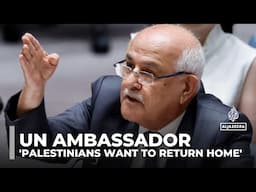 Palestinians want to return to family’s original homes: UN ambassador