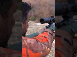 Giant Monster Wild Boar Shots 🐗 Best Hunting Videos!