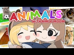 ANIMALS with Ame & Moom !!