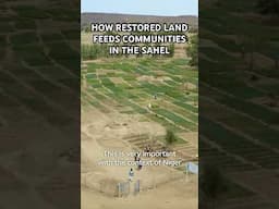 How Restored Land Feeds Communities in the Sahel