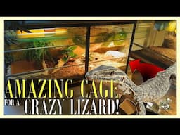 An AMAZING DIY reptile ENCLOSURE for my CRAZY Argus Monitor Lizard!｜Moving my animal