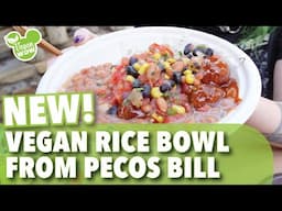 New Plant-based Rice Bowl at Magic Kingdom