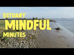 Take a minute and relax by the river | Mindful minute | WWT