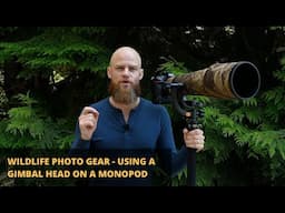 Wildlife Photography Gear - Using a Gimbal Head on a Monopod (2020)