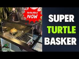 Super Turtle Basker - Ultimate Turtle Basking Solution