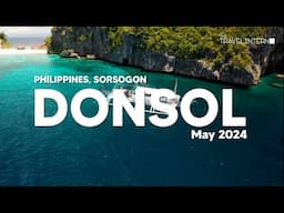 Whale Shark Diving Adventure in Donsol, Philippines | TTI Experiences