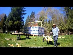 Studio Construction - Day 36 - East Gable Framing