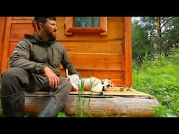 I live in a LOG CABIN with my BUSHCRAFT DOG! Camping with red beast! The history of a forest dog